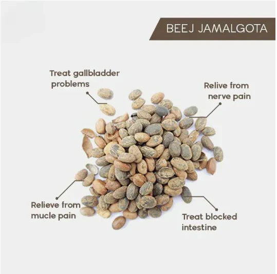 Jamalgota Ayurvedic Hair Growth Powder 100gm